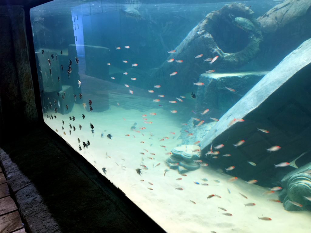 Underwater aquarium theming