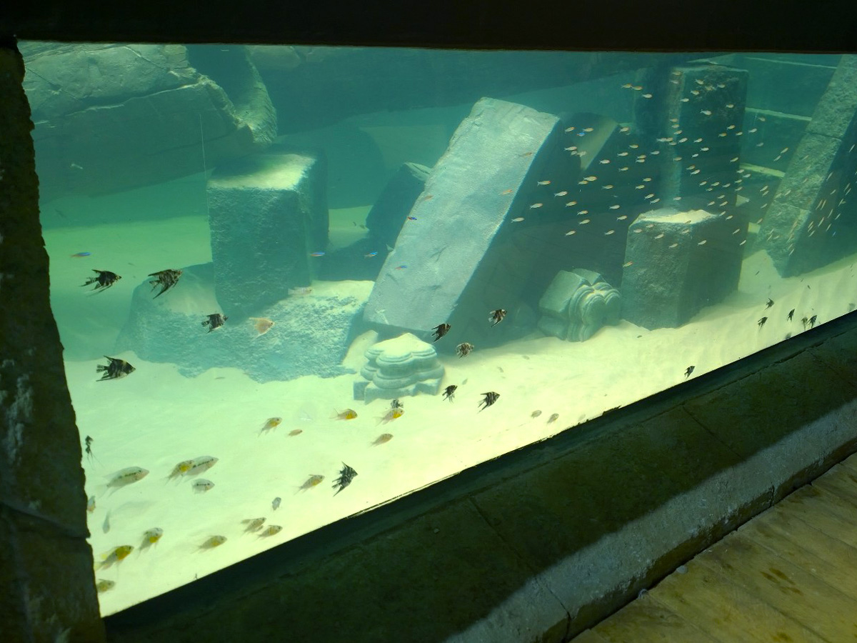 Underwater aquarium theming