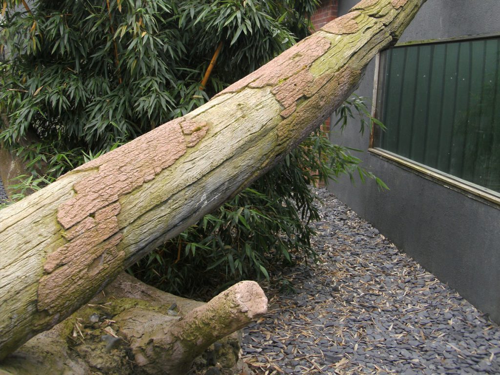 Artificial concrete tree trunk